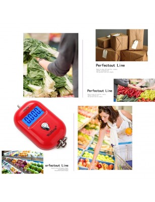25Kg/5g Digital Hanging Scale LCD Backlight Mini Pocket Scales Kitchen Tool