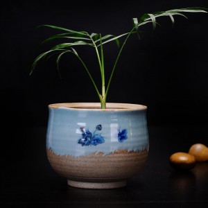 Sgy-034 potted succulent plant with antique glaze