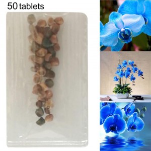 50 Grains Phalaenopsis Seeds Butterfly Orchid Decoration Potted Flower Seeds